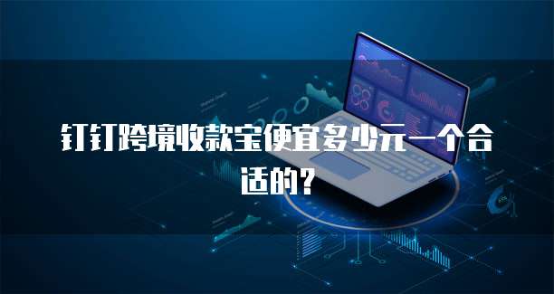 钉钉跨境收款宝便宜多少元一个合适的?