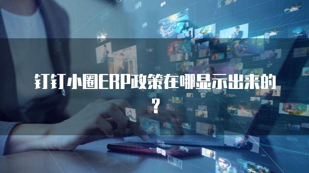 钉钉小圈ERP政策在哪显示出来的?