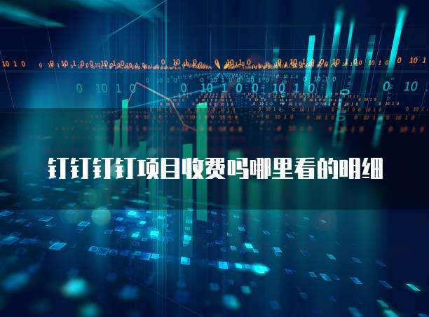 钉钉钉钉项目收费吗哪里看的明细
