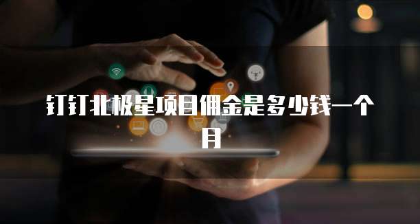 钉钉北极星项目佣金是多少钱一个月