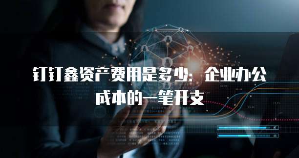 钉钉鑫资产费用是多少:企业办公成本的一笔开支