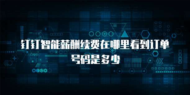 钉钉智能薪酬续费在哪里看到订单号码是多少