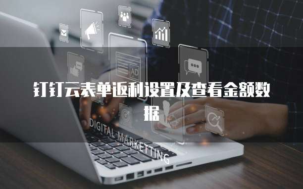 钉钉云表单返利设置及查看金额数据