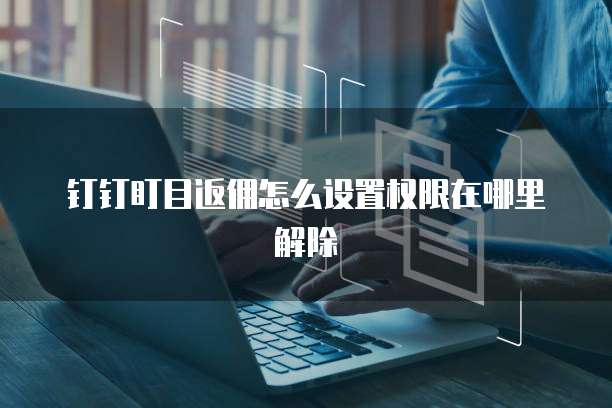 钉钉盯目返佣怎么设置权限在哪里解除