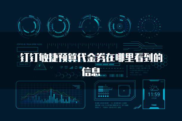 钉钉敏捷预算代金券在哪里看到的信息