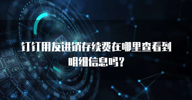 钉钉用友进销存续费在哪里查看到明细信息吗?