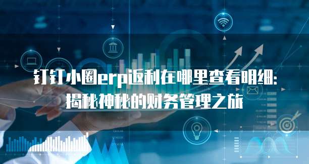 钉钉小圈erp返利在哪里查看明细:揭秘神秘的财务管理之旅