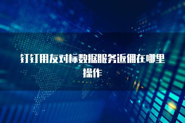 钉钉用友对标数据服务返佣在哪里操作