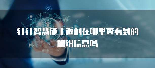 钉钉智慧施工返利在哪里查看到的明细信息吗