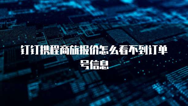 钉钉携程商旅报价怎么看不到订单号信息