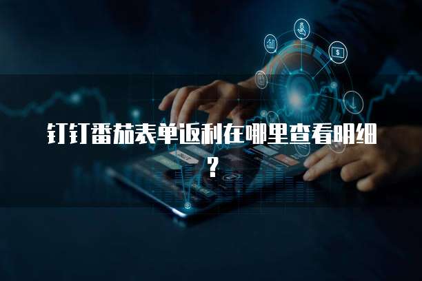 钉钉番茄表单返利在哪里查看明细？