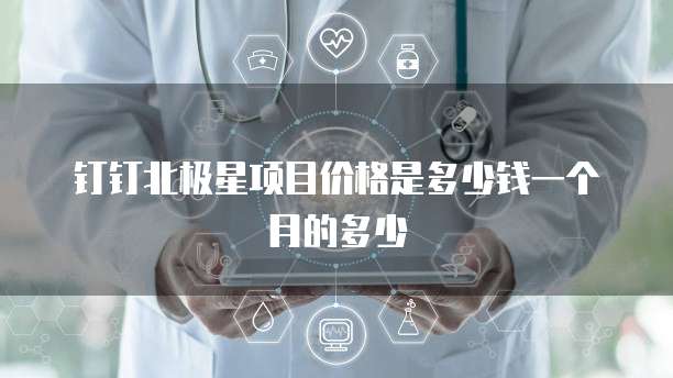 钉钉北极星项目价格是多少钱一个月的多少