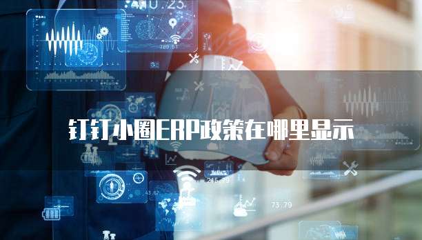 钉钉小圈ERP政策在哪里显示