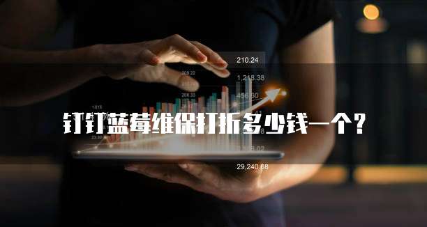 钉钉蓝莓维保打折多少钱一个?