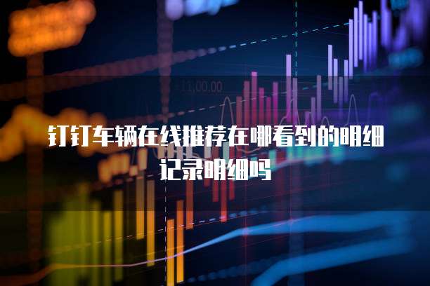 钉钉车辆在线推荐在哪看到的明细记录明细吗
