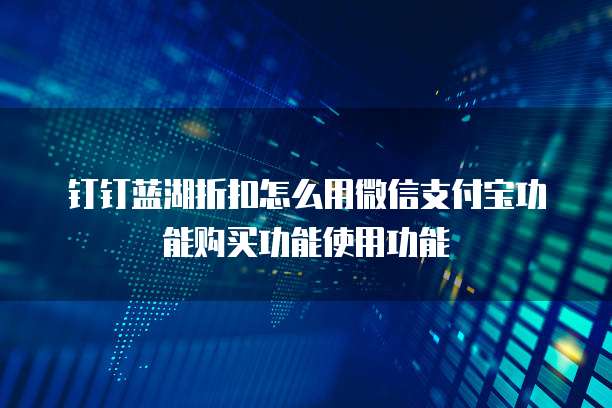 钉钉蓝湖折扣怎么用微信支付宝功能购买功能使用功能