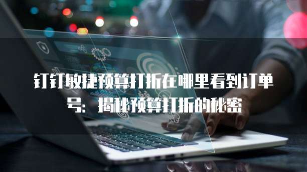 钉钉敏捷预算打折在哪里看到订单号:揭秘预算打折的秘密