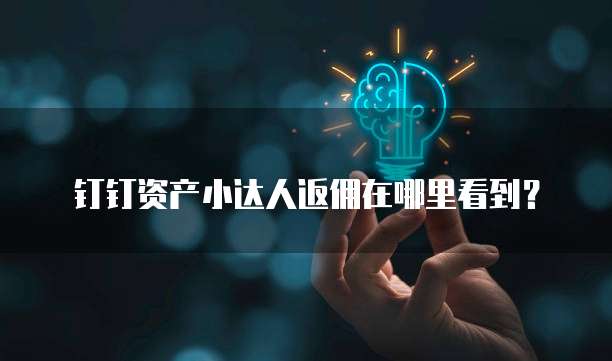 钉钉资产小达人返佣在哪里看到？