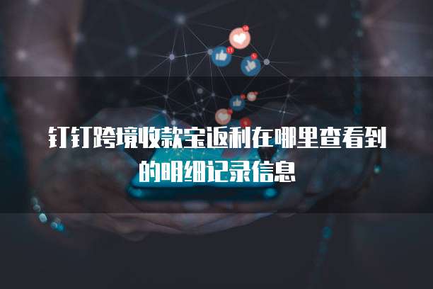钉钉跨境收款宝返利在哪里查看到的明细记录信息