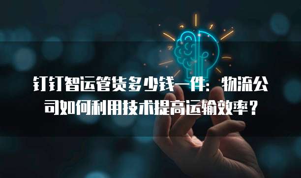 钉钉智运管货多少钱一件:物流公司如何利用技术提高运输效率?