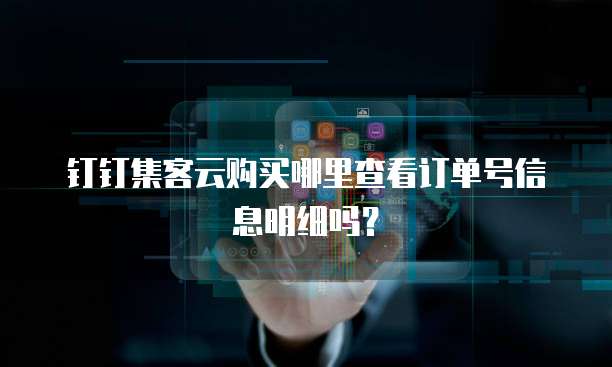 钉钉集客云购买哪里查看订单号信息明细吗？