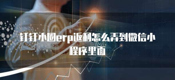 钉钉小圈erp返利怎么弄到微信小程序里面