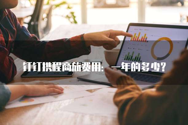 钉钉携程商旅费用:一年的多少?