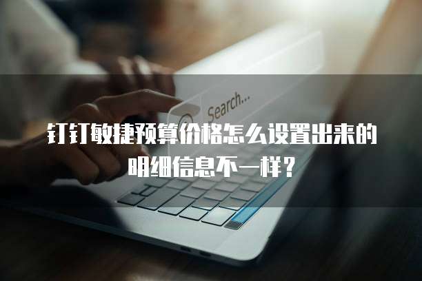 钉钉敏捷预算价格怎么设置出来的明细信息不一样?