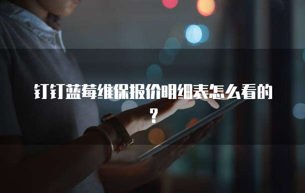 钉钉蓝莓维保报价明细表怎么看的?