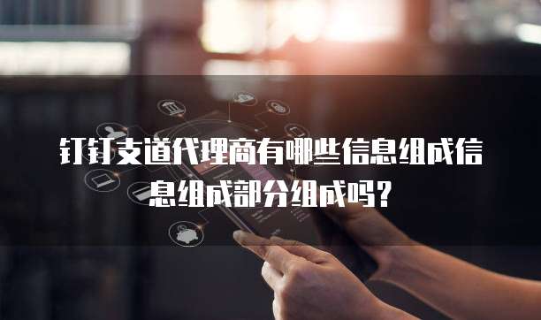 钉钉支道代理商有哪些信息组成信息组成部分组成吗?