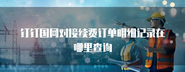 钉钉国网对接续费订单明细记录在哪里查询