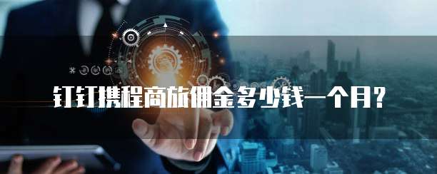 钉钉携程商旅佣金多少钱一个月?