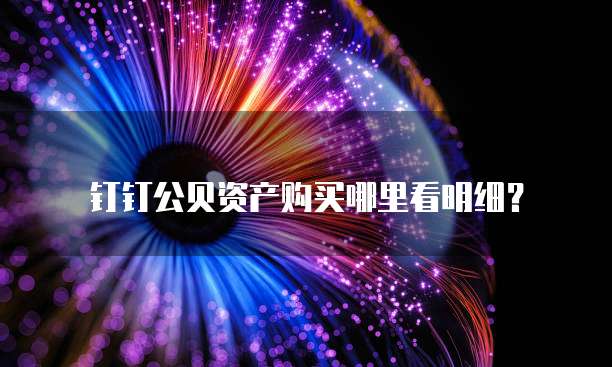 钉钉公贝资产购买哪里看明细?