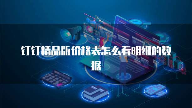 钉钉精品版价格表怎么看明细的数据