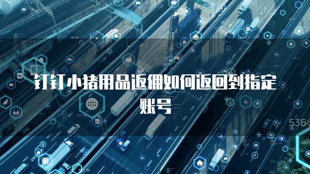 钉钉小猪用品返佣如何返回到指定账号