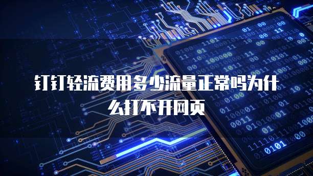 钉钉轻流费用多少流量正常吗为什么打不开网页