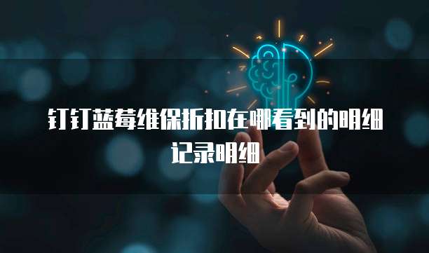 钉钉蓝莓维保折扣在哪看到的明细记录明细