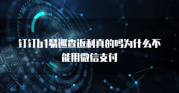 钉钉b1易巡查返利真的吗为什么不能用微信支付