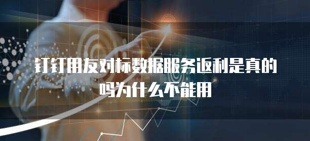 钉钉用友对标数据服务返利是真的吗为什么不能用