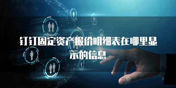 钉钉固定资产报价明细表在哪里显示的信息