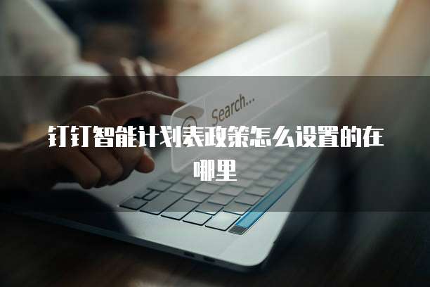 钉钉智能计划表政策怎么设置的在哪里