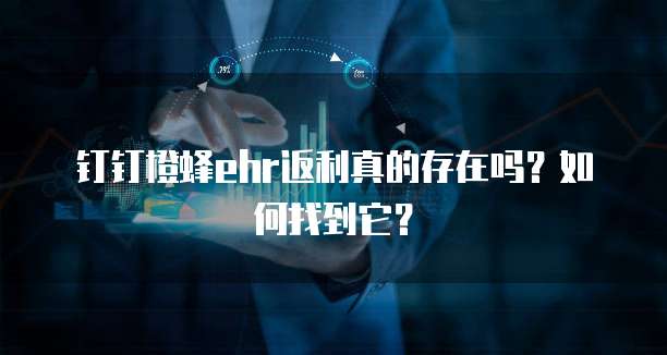 钉钉橙蜂ehr返利真的存在吗?如何找到它?