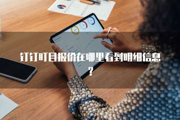 钉钉盯目报价在哪里看到明细信息?