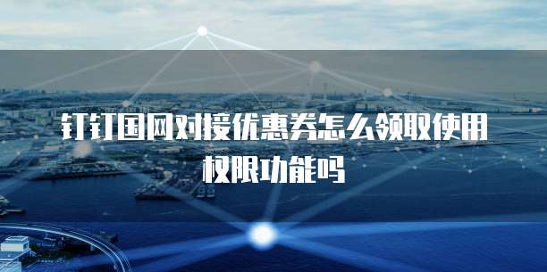 钉钉国网对接优惠券怎么领取使用权限功能吗