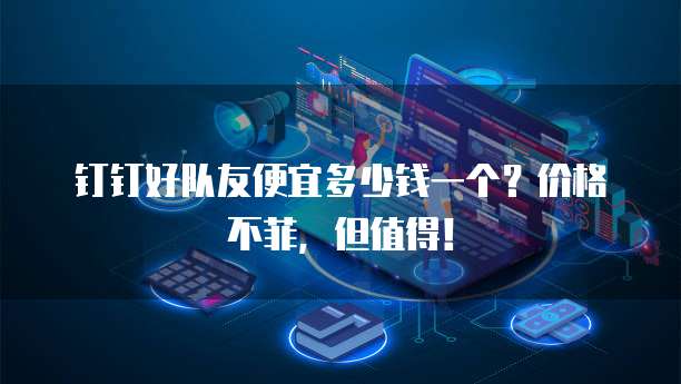钉钉好队友便宜多少钱一个?价格不菲,但值得!
