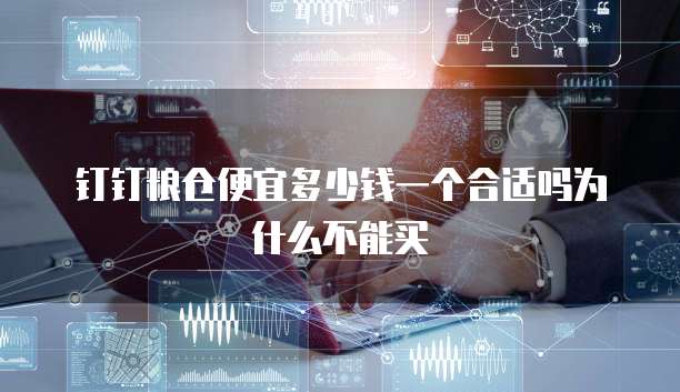 钉钉粮仓便宜多少钱一个合适吗为什么不能买