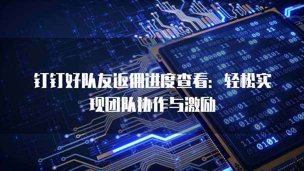 钉钉好队友返佣进度查看:轻松实现团队协作与激励