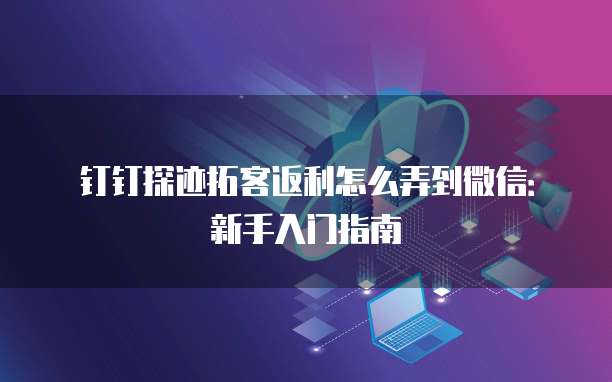 钉钉探迹拓客返利怎么弄到微信:新手入门指南