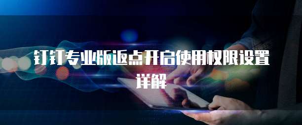 钉钉专业版返点开启使用权限设置详解