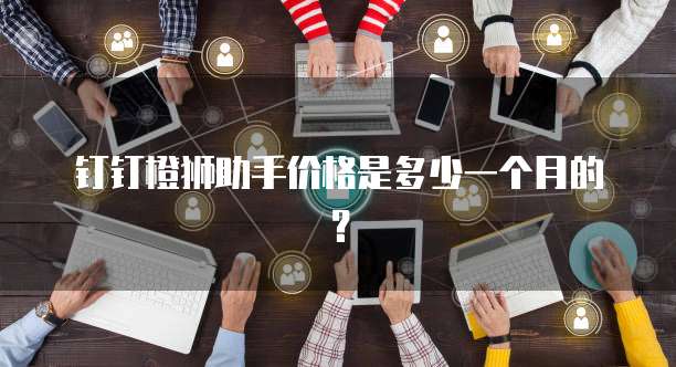 钉钉橙狮助手价格是多少一个月的?